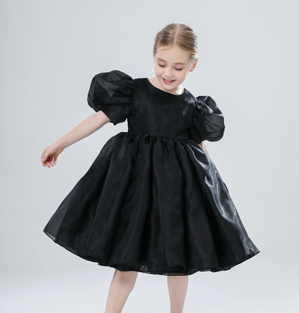 Organza Black Dress