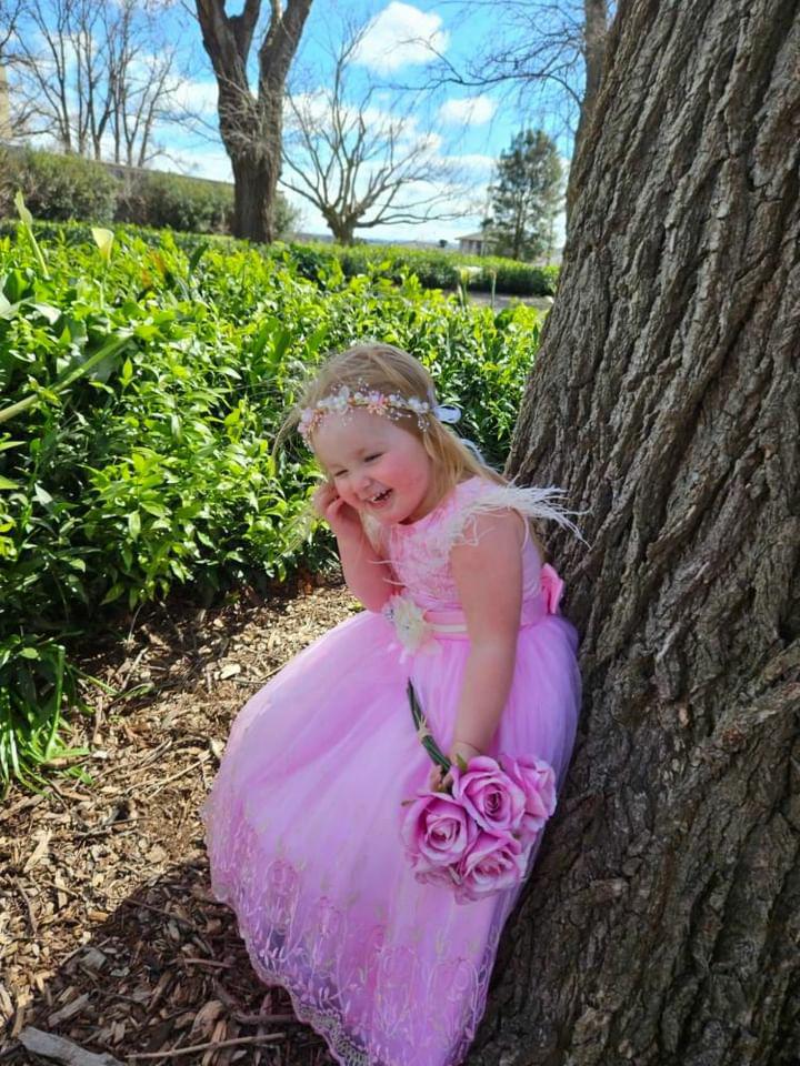 Girls Pink Gown With Embroidered Tulle