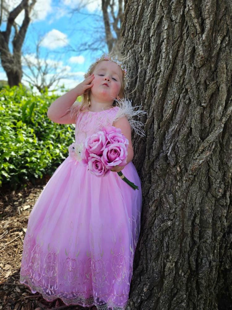 Girls Pink Gown With Embroidered Tulle