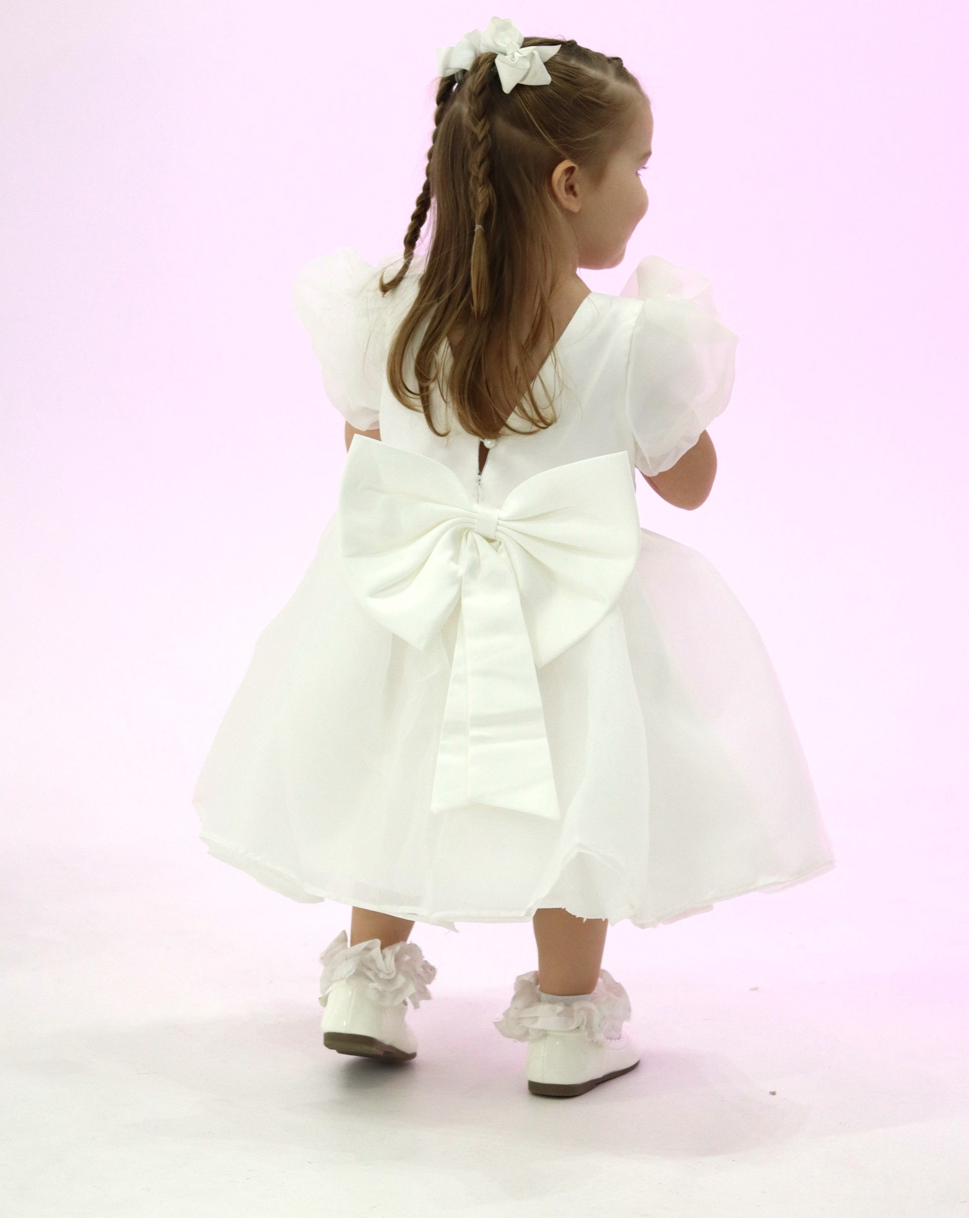 Puffy Sleeves Organza Dress