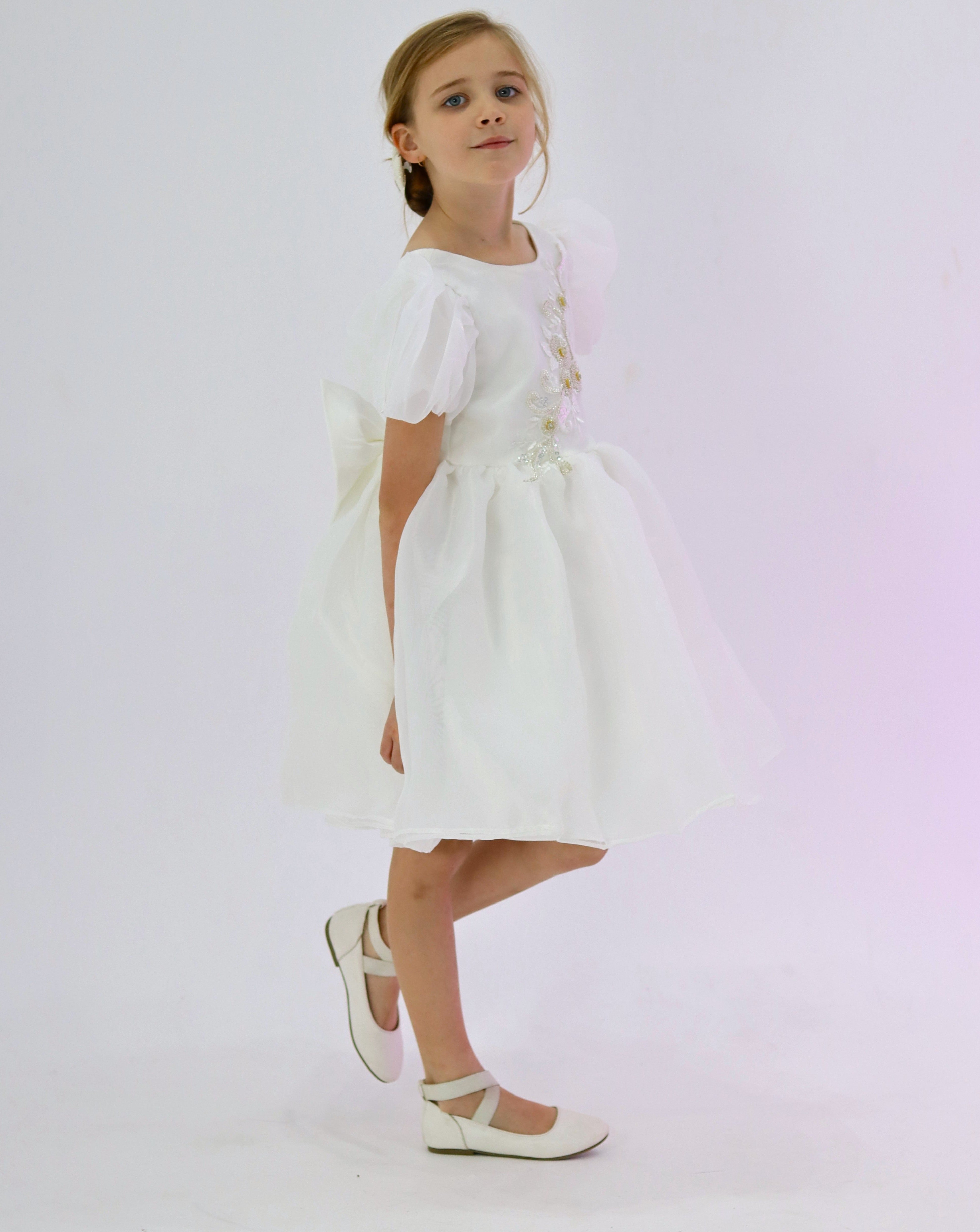 Puffy Sleeves Organza Dress