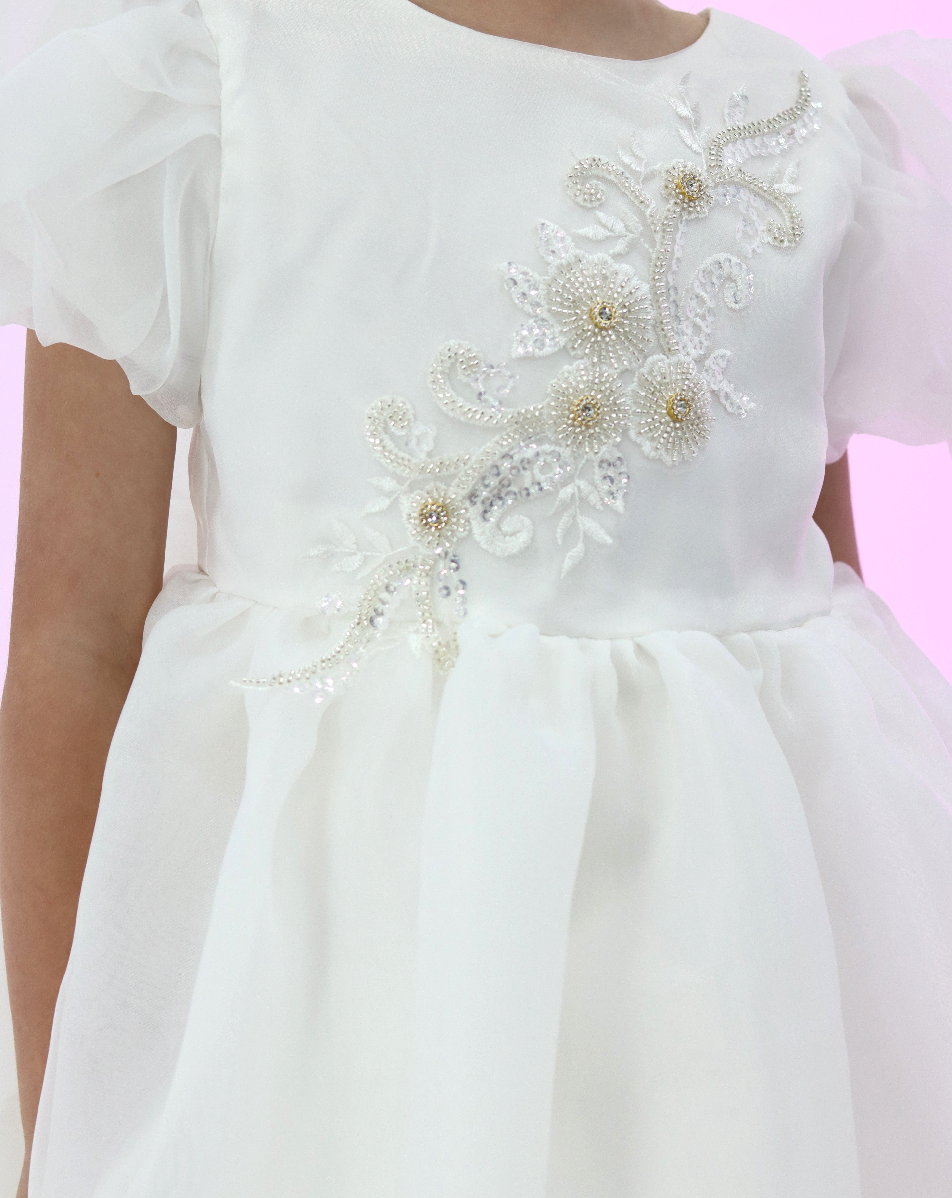 Puffy Sleeves Organza Dress