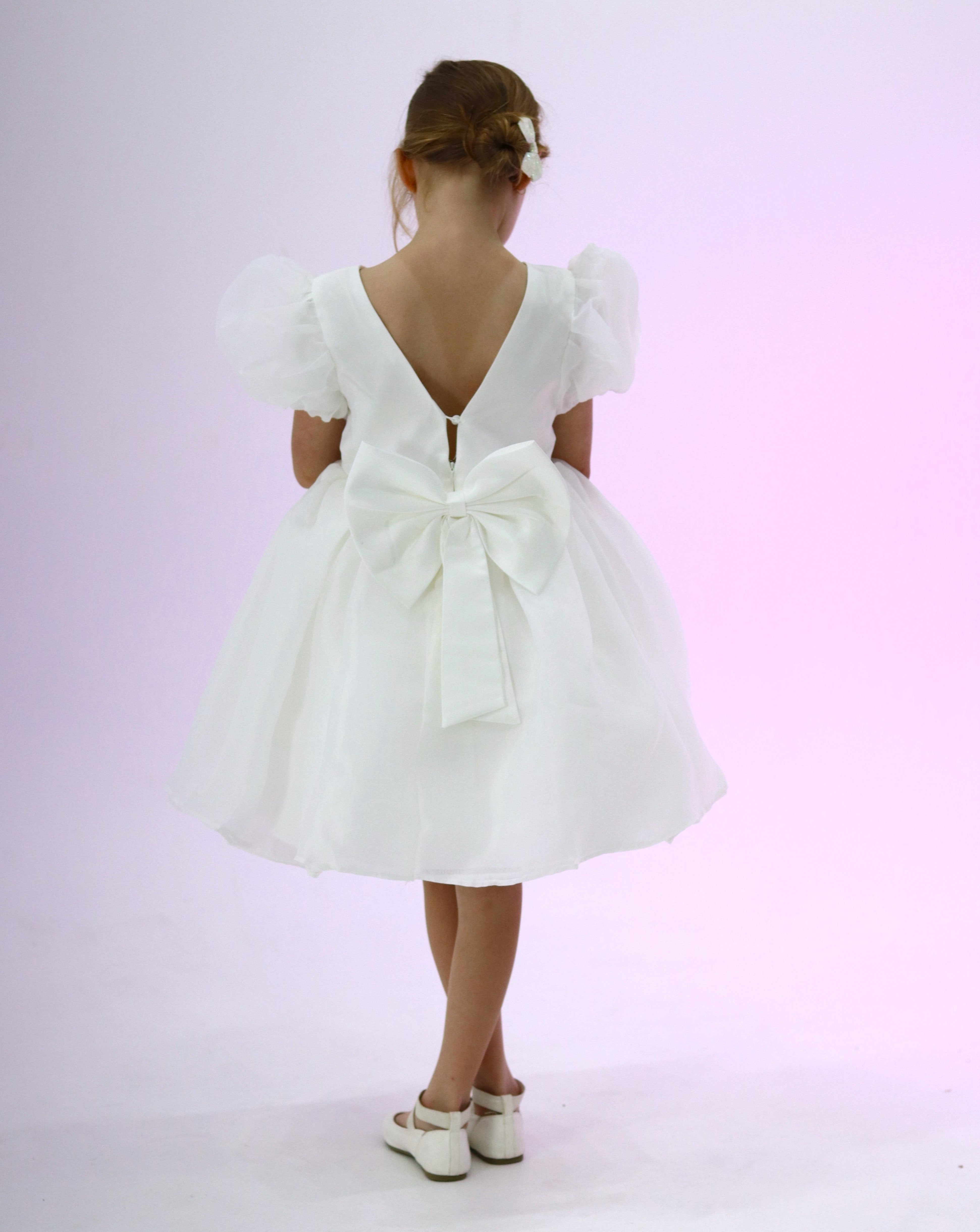 Puffy Sleeves Organza Dress