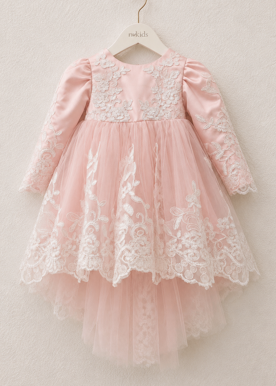 Baby Girl Full Sleeve Pink Dress With Sweep Train
