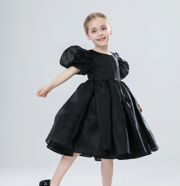 Organza Black Dress