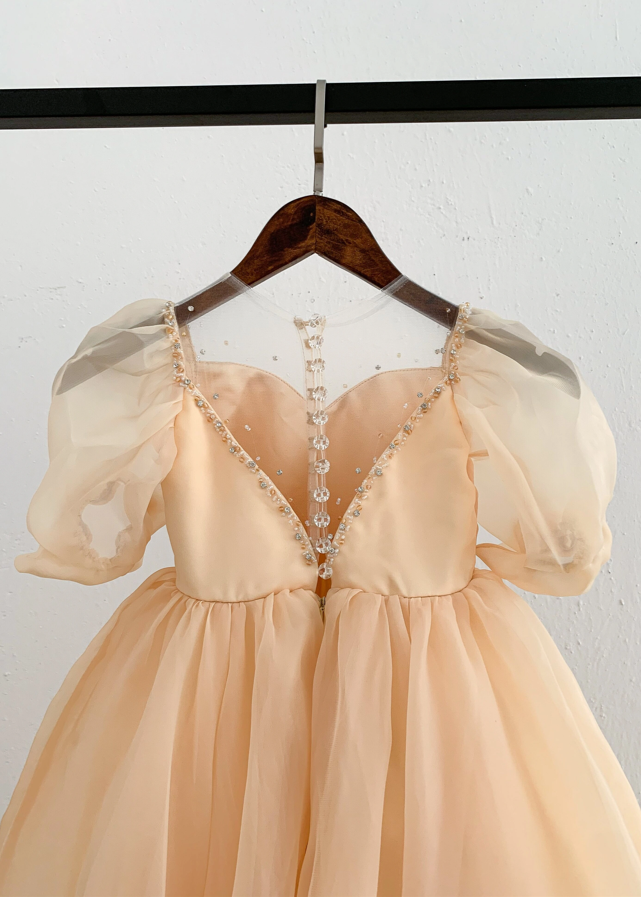 Flower Girl Ball Gown - Organza Dress