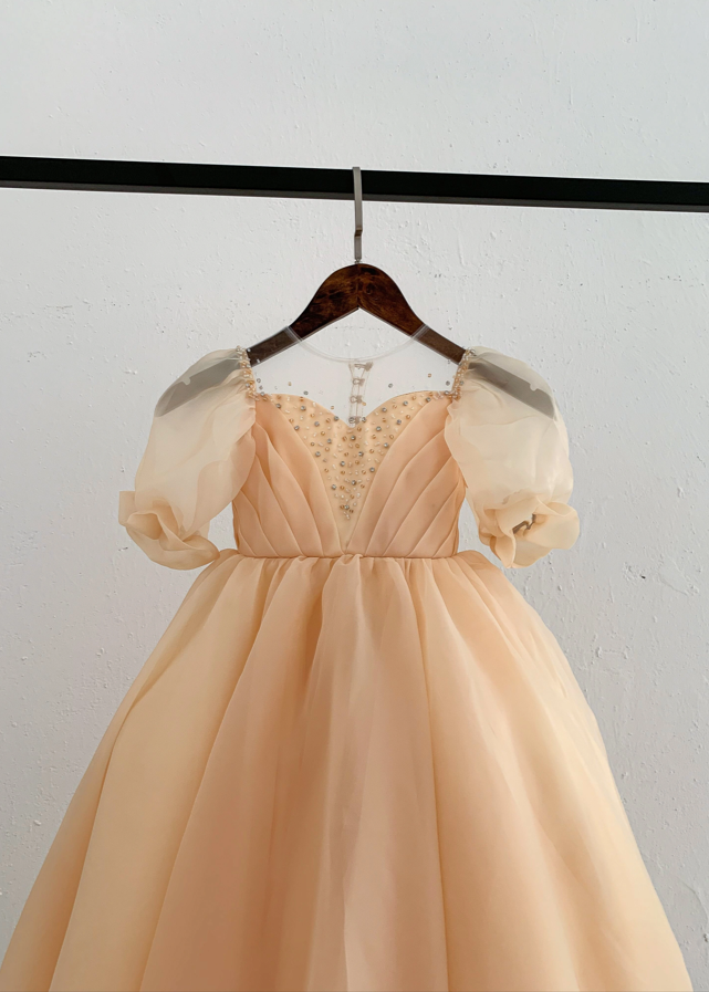 Flower Girl Ball Gown - Organza Dress