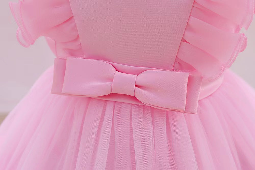 Girls Pink Dress- 3D Roses