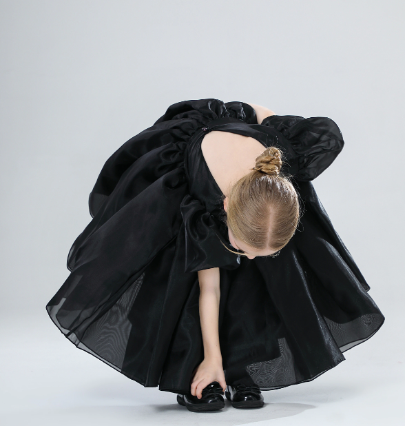 Organza Black Dress