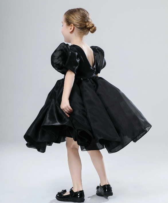 Organza Black Dress