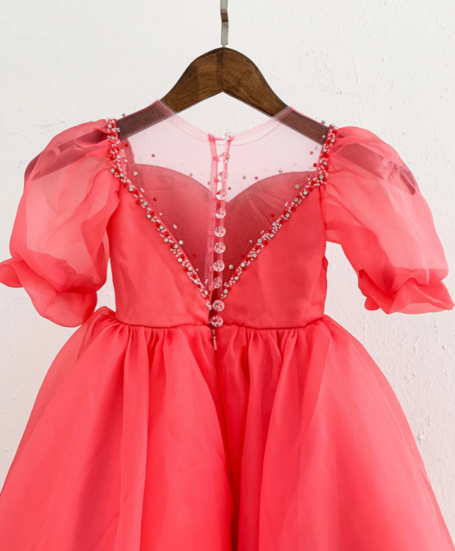 Flower Girl Ball Gown - Organza Dress