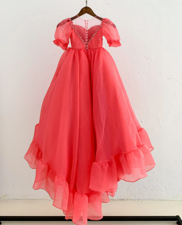 Flower Girl Ball Gown - Organza Dress